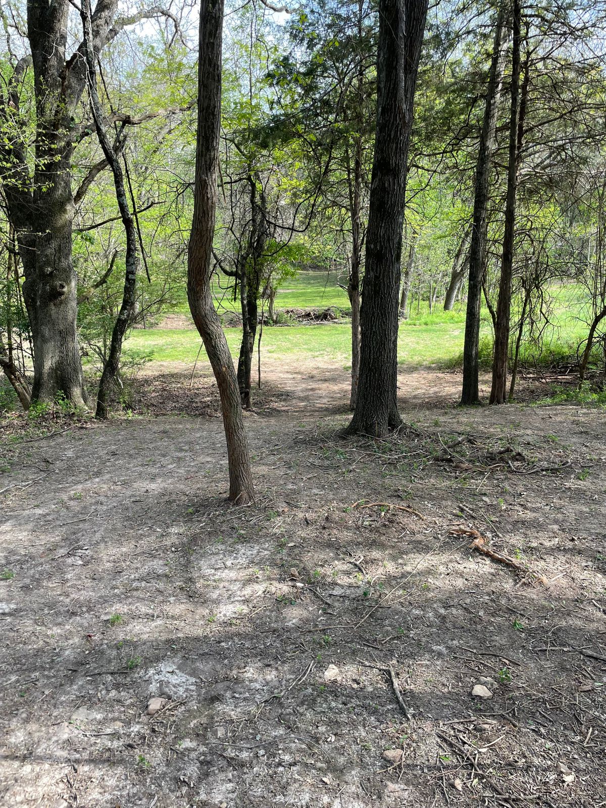 Hole 3 fairway.