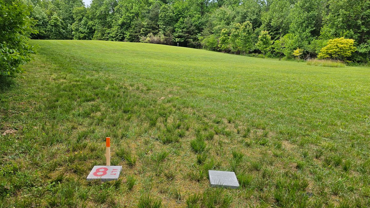 Hole 8 Alt - 315 ft