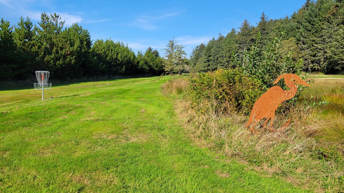 Look at the #18 fairway and basket