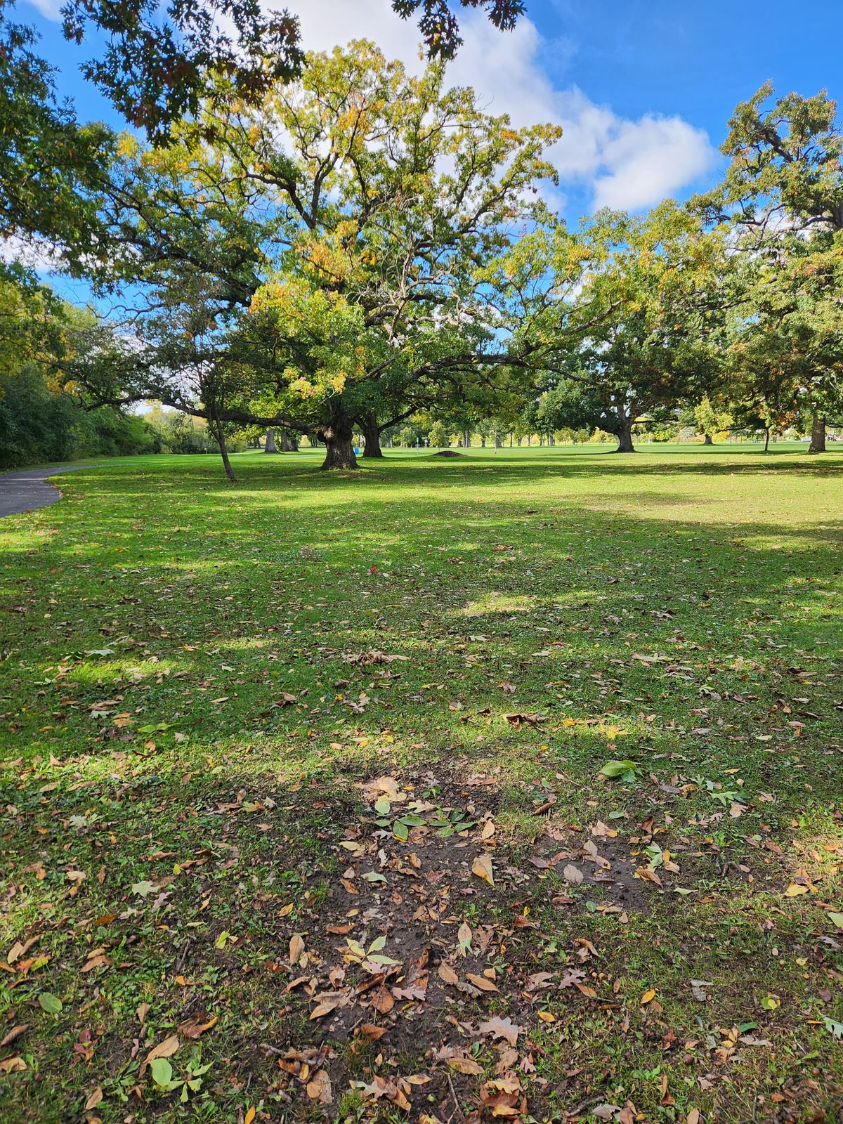 Hole 8 long tee