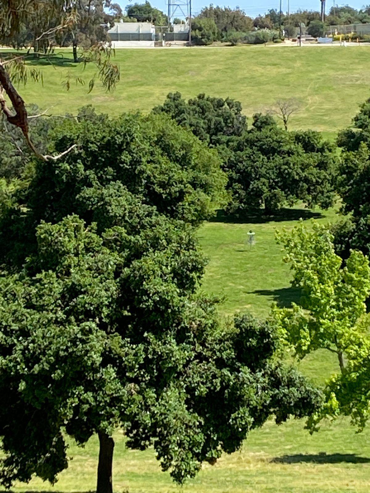 Tee to hole 4