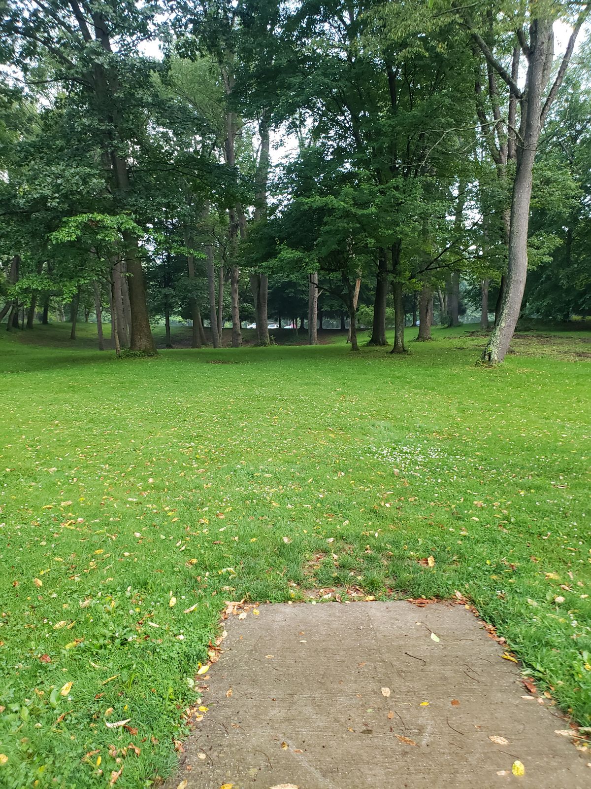 Hole 18 short teepad