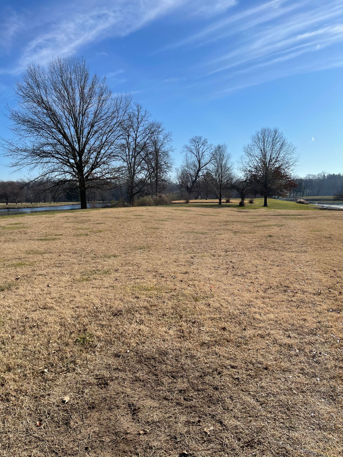 Hole 1 tee pad view basket in short position