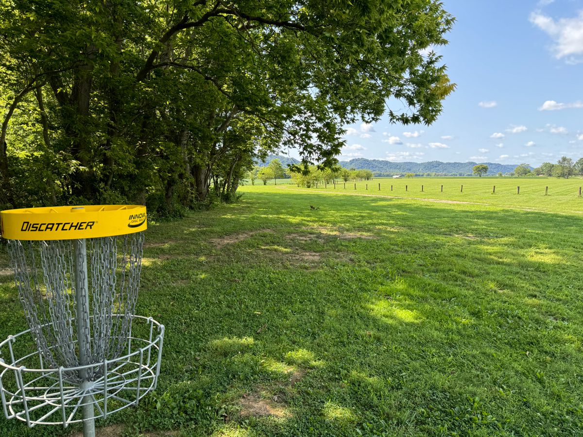 Hole 14 Basket to Tee