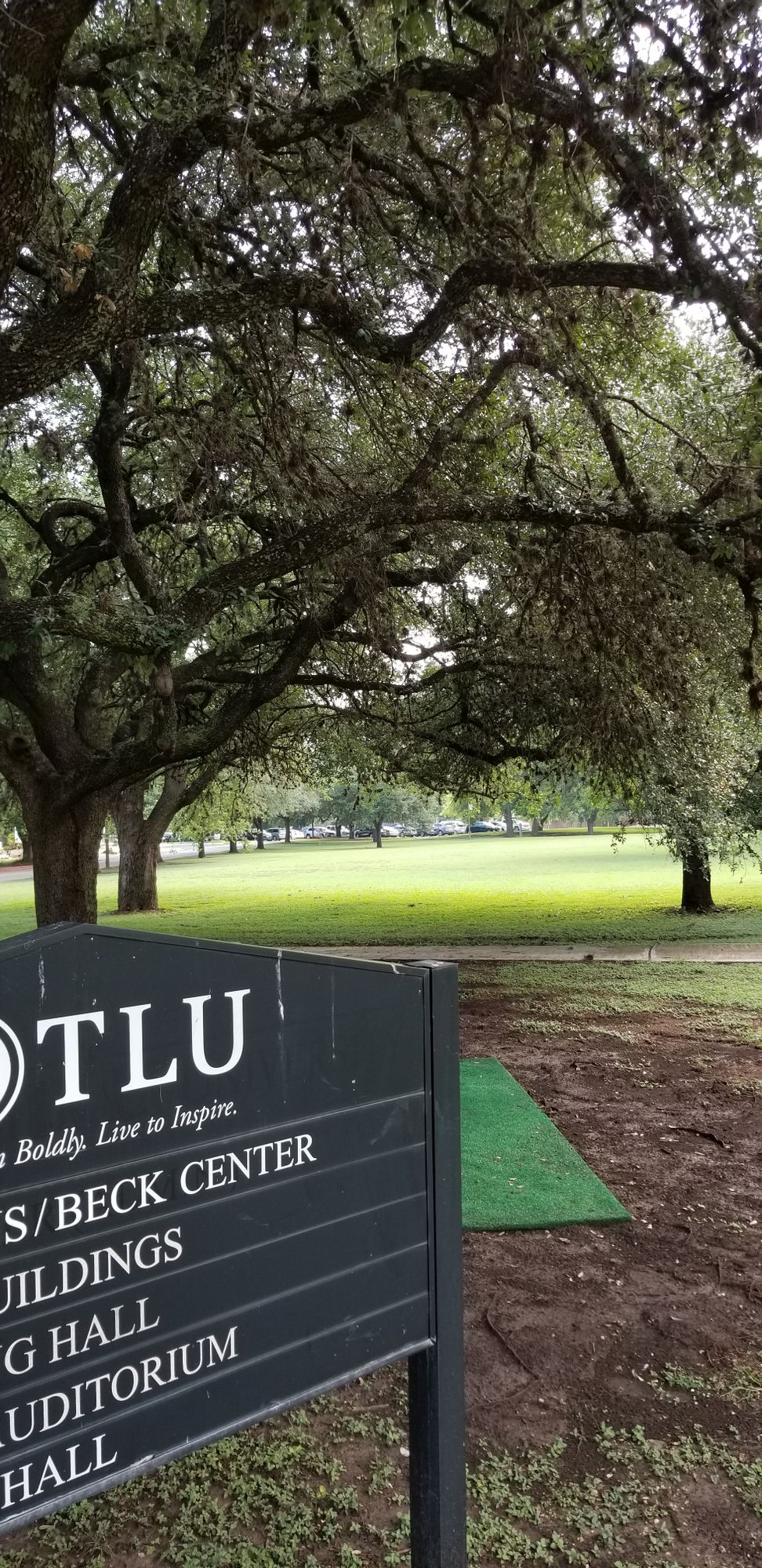 Hole 11 teepad.