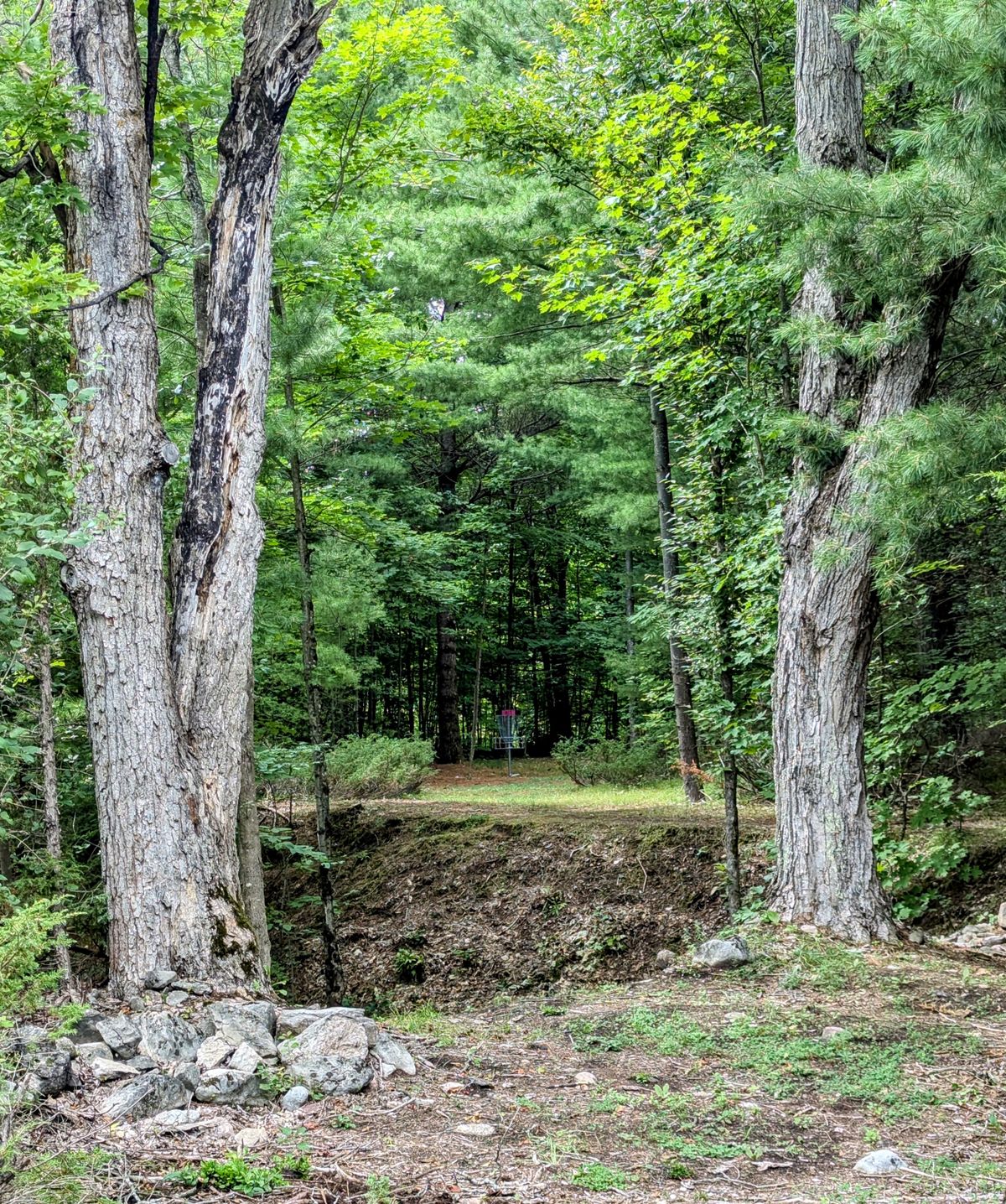Hole 1