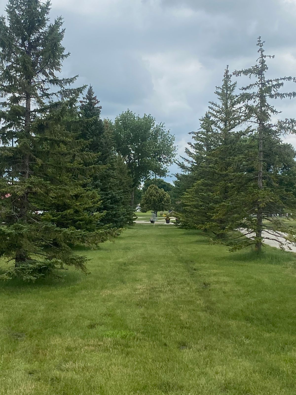 Tunnel on Hole 11