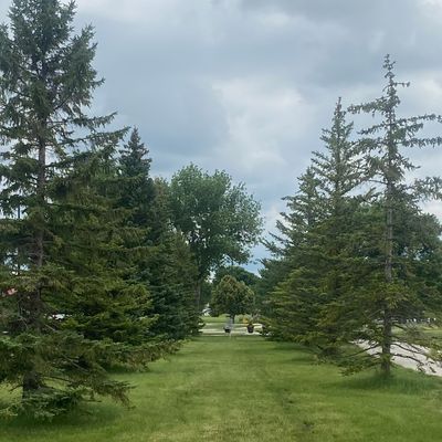 Tunnel on Hole 11