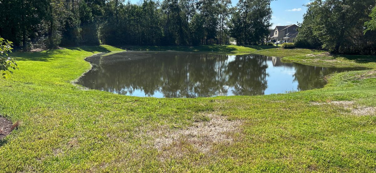 Fulvetta is next to a pond. There is a path on the left side to the course!