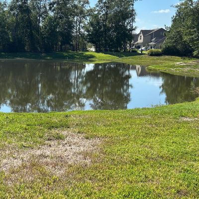 Fulvetta is next to a pond. There is a path on the left side to the course!