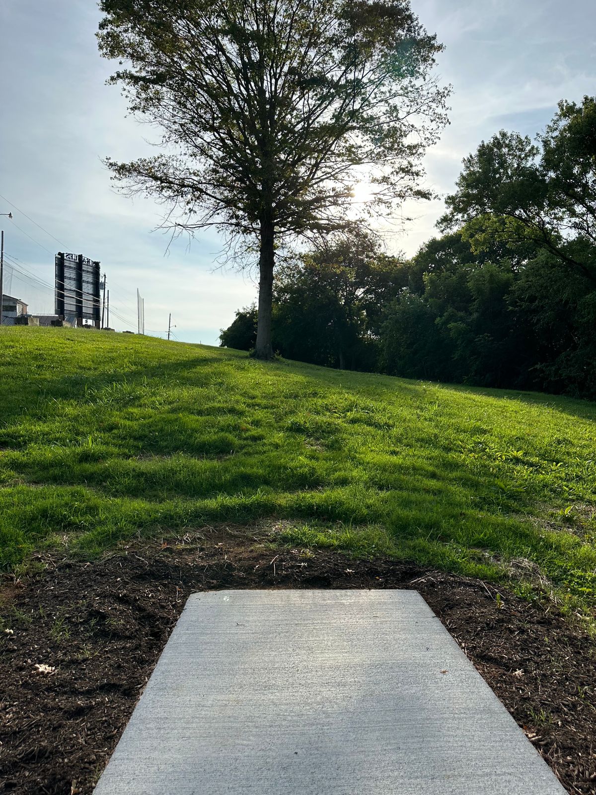 Hole 15 tee