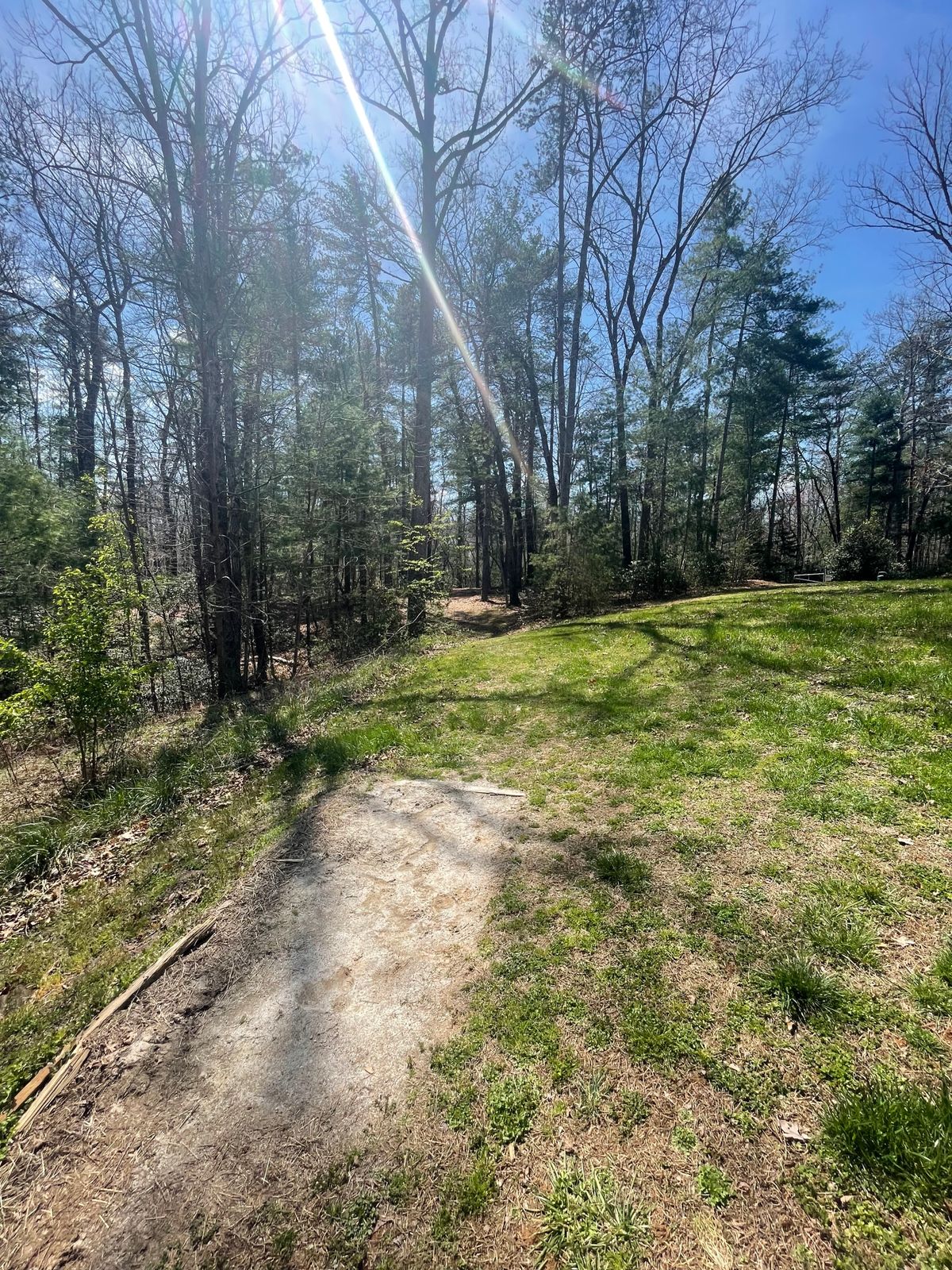 Hole 2 tee pad. Basket is up hill and to the right a little