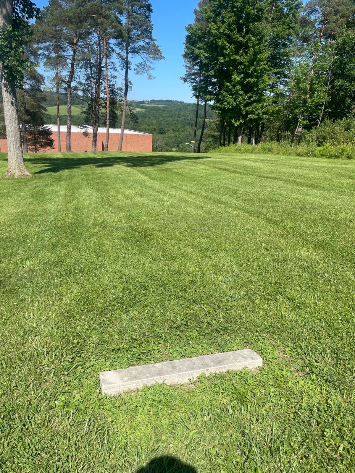 Hole 5 “tee pad” and basket straight ahead by right group of trees.