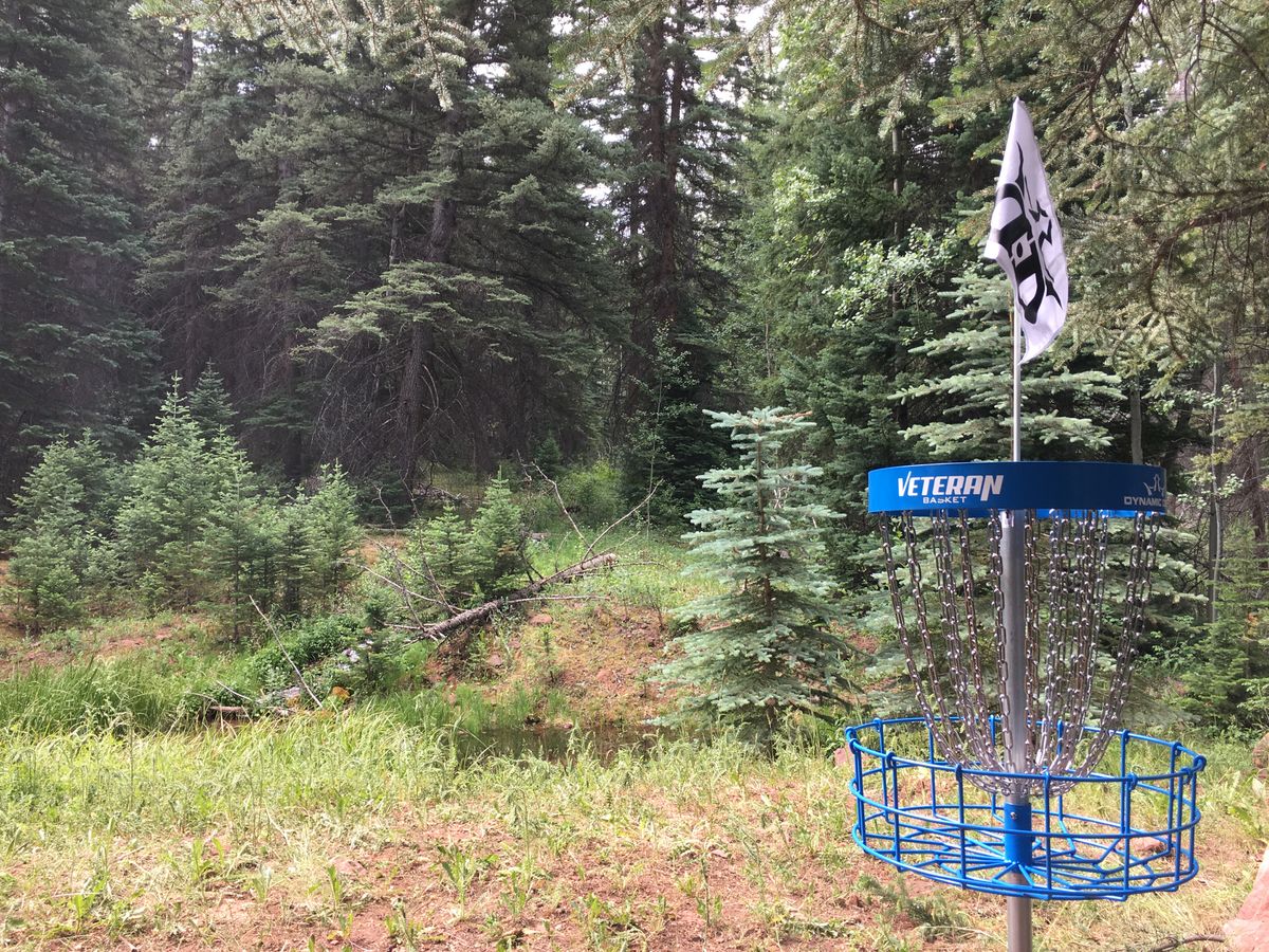 Hole 10 basket