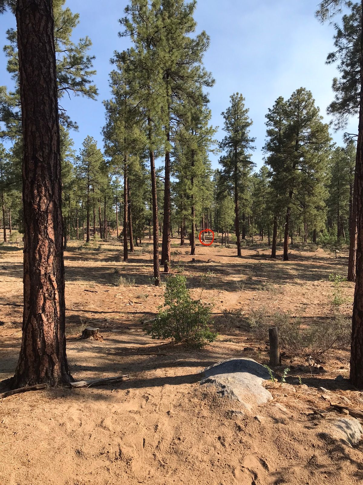 Tee 14