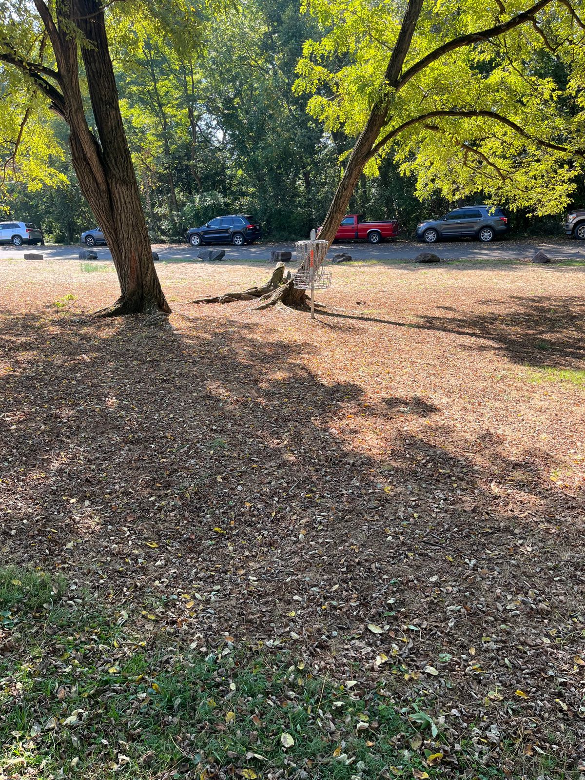 Hole 18 basket
