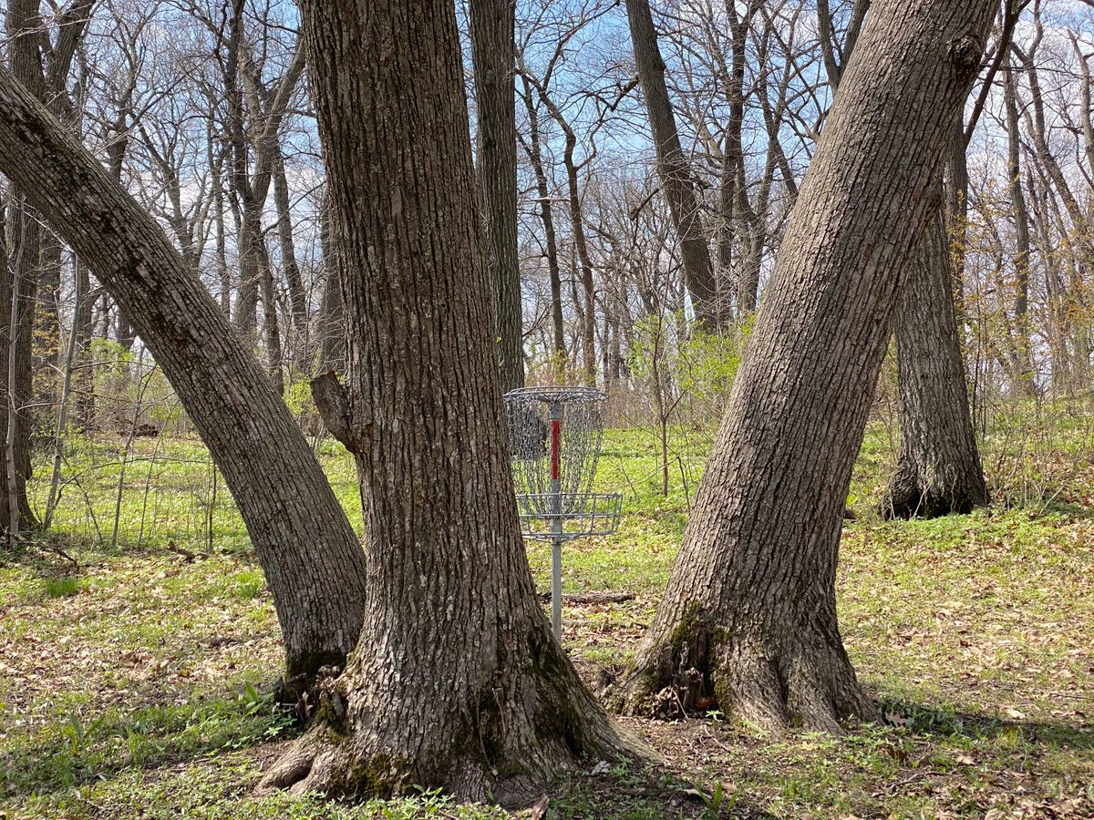 Hole 19