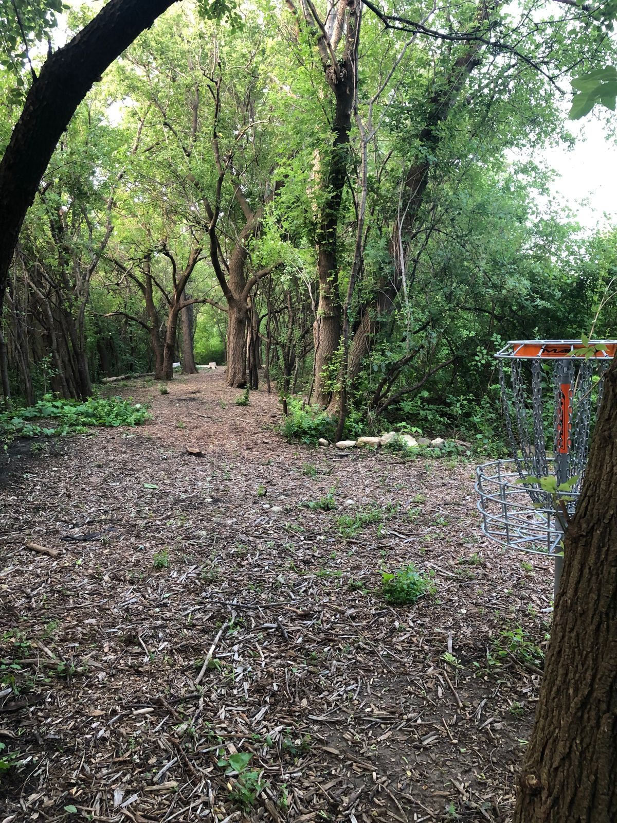 Hole #5 basket