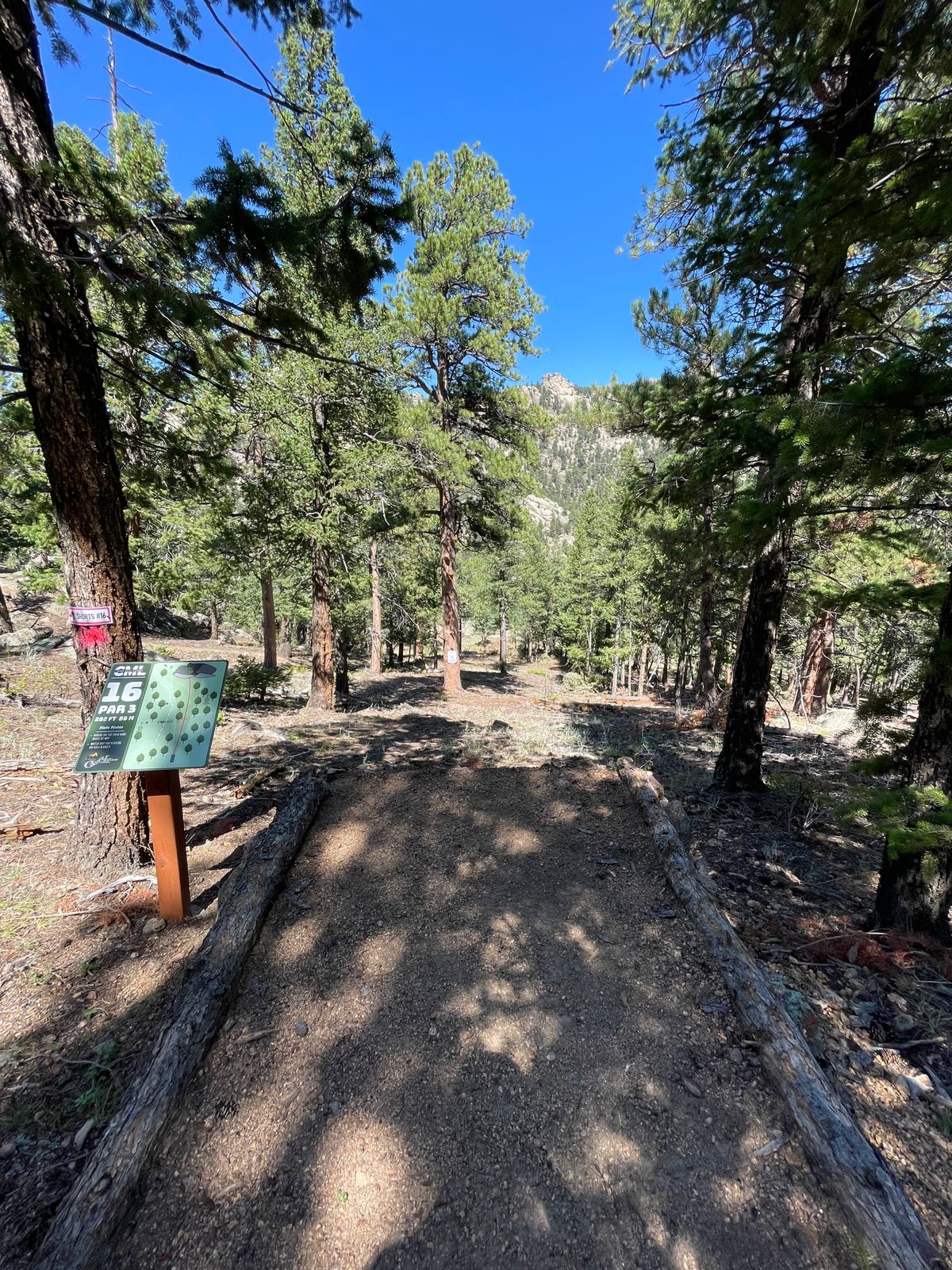 Hole 16 tee