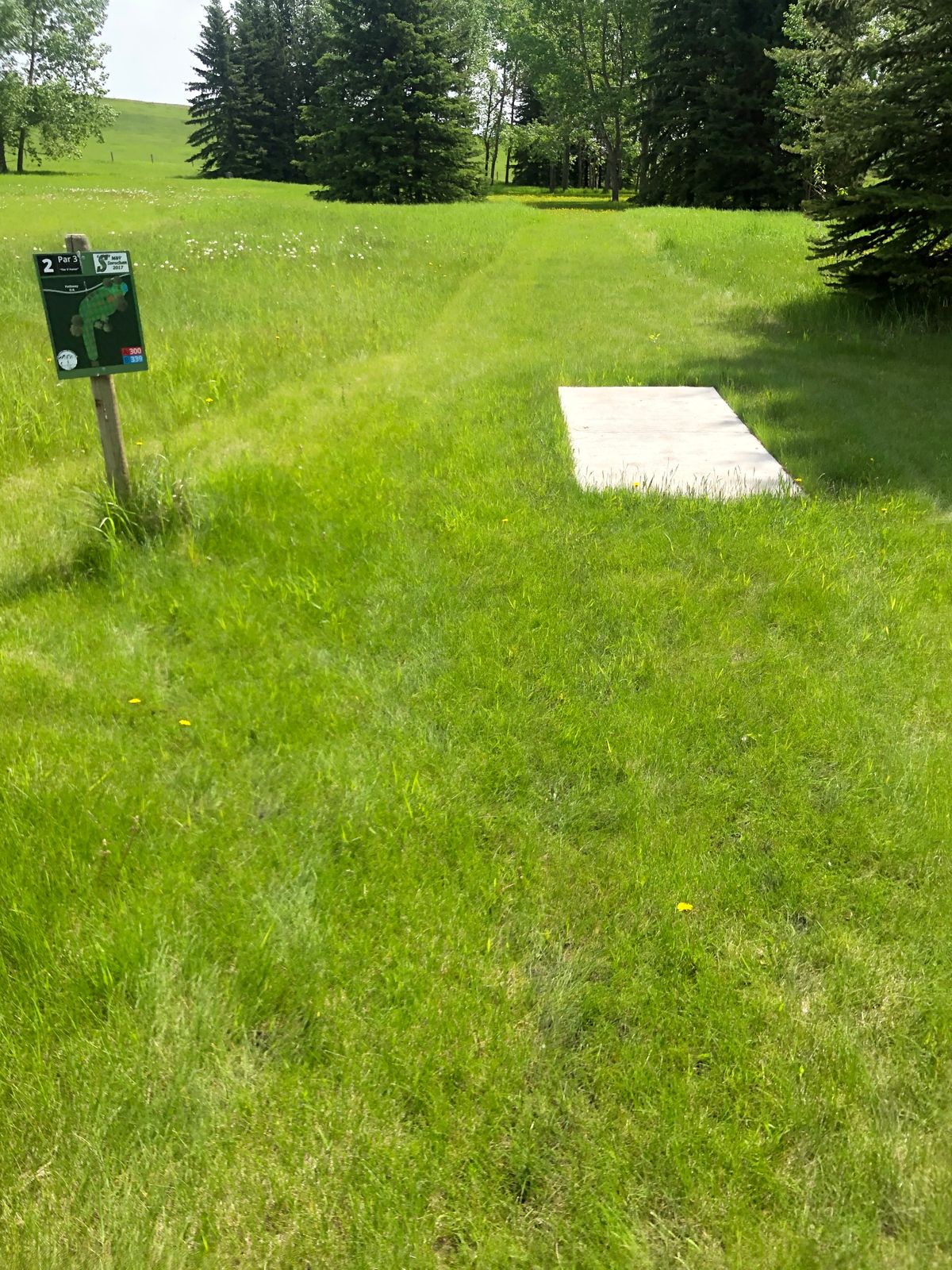 Tee sign hole 3