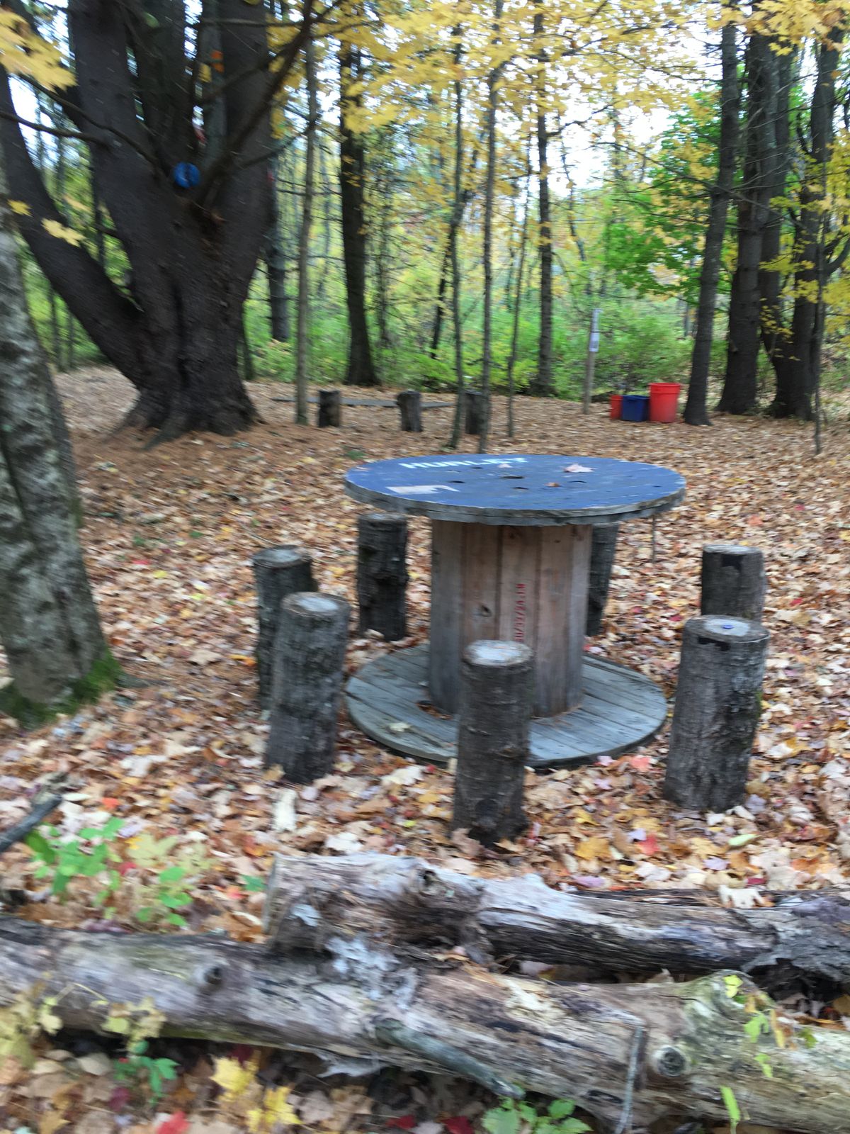 Knights of the disc table.