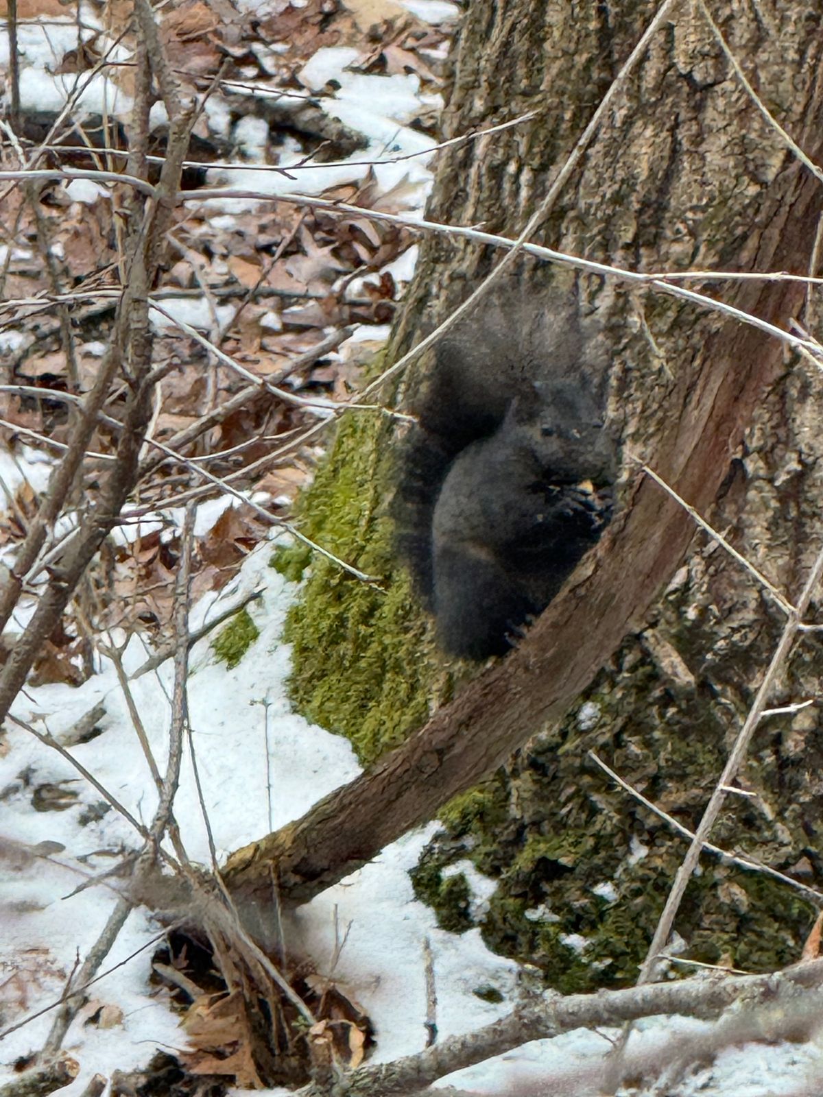 The killed this poor dudes home 😔