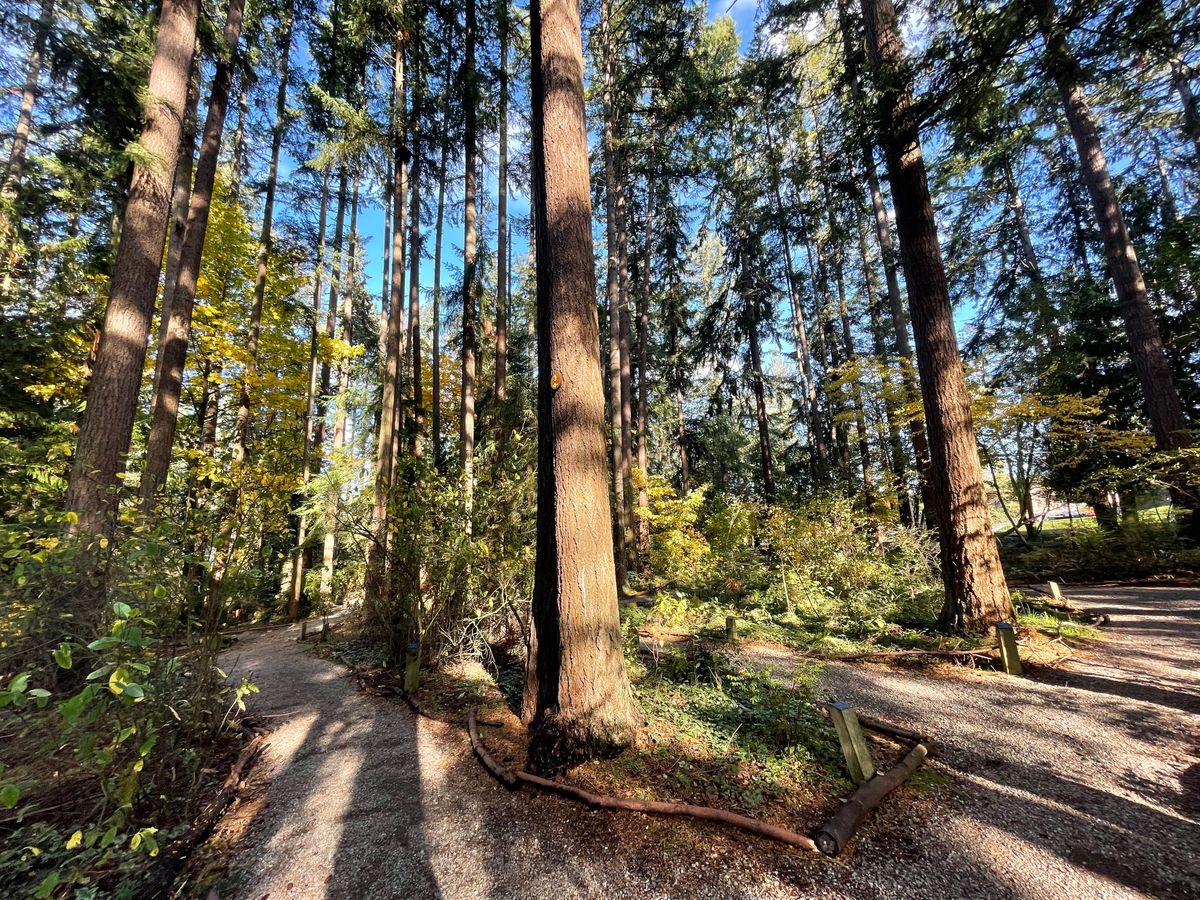 Walk through nature trail to hole 3