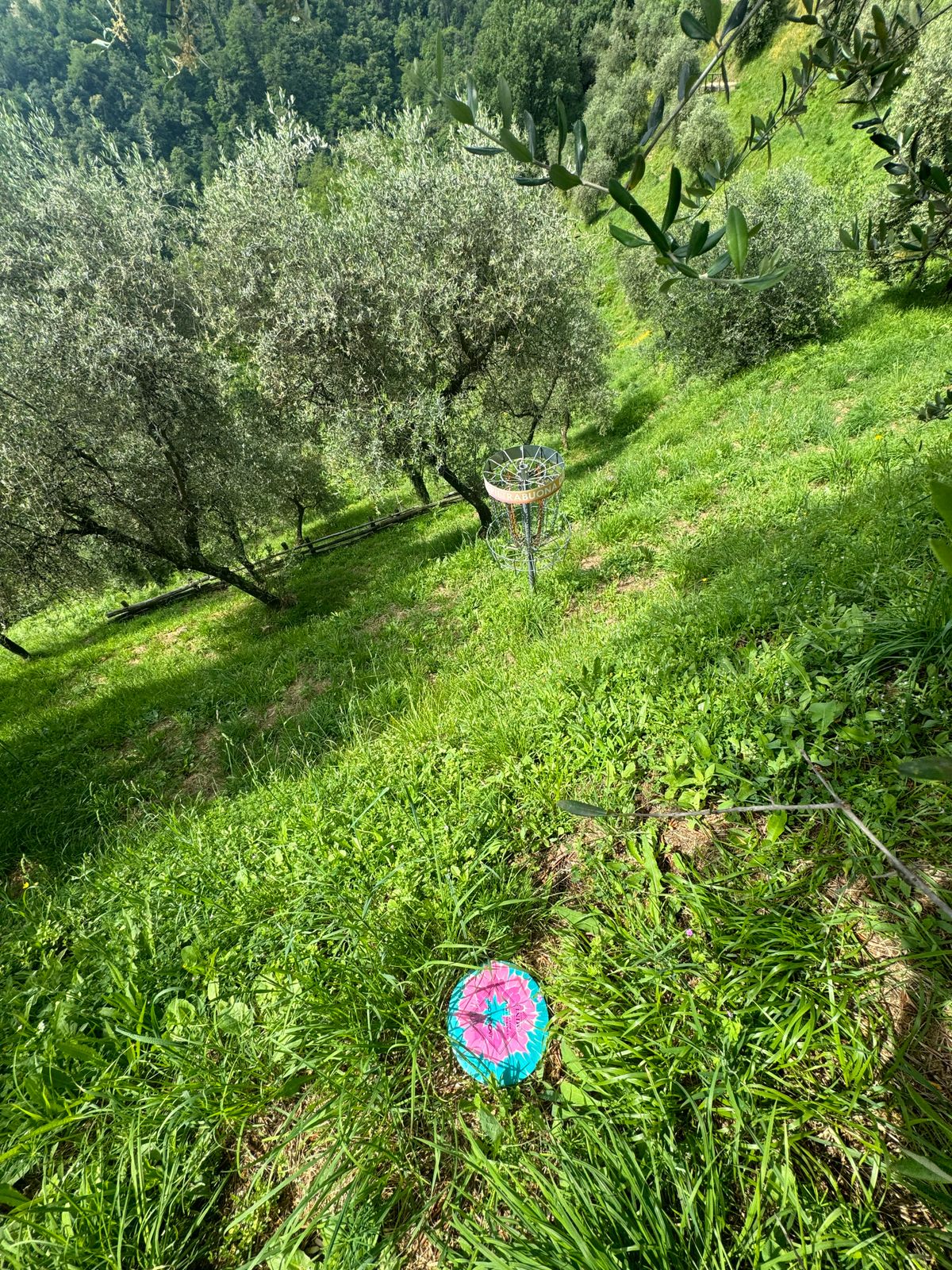 Terrain makes for some really fun shots.