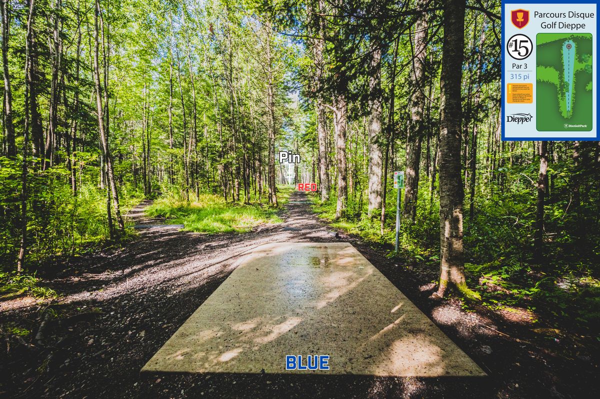 Hole 15 Blue Tee.