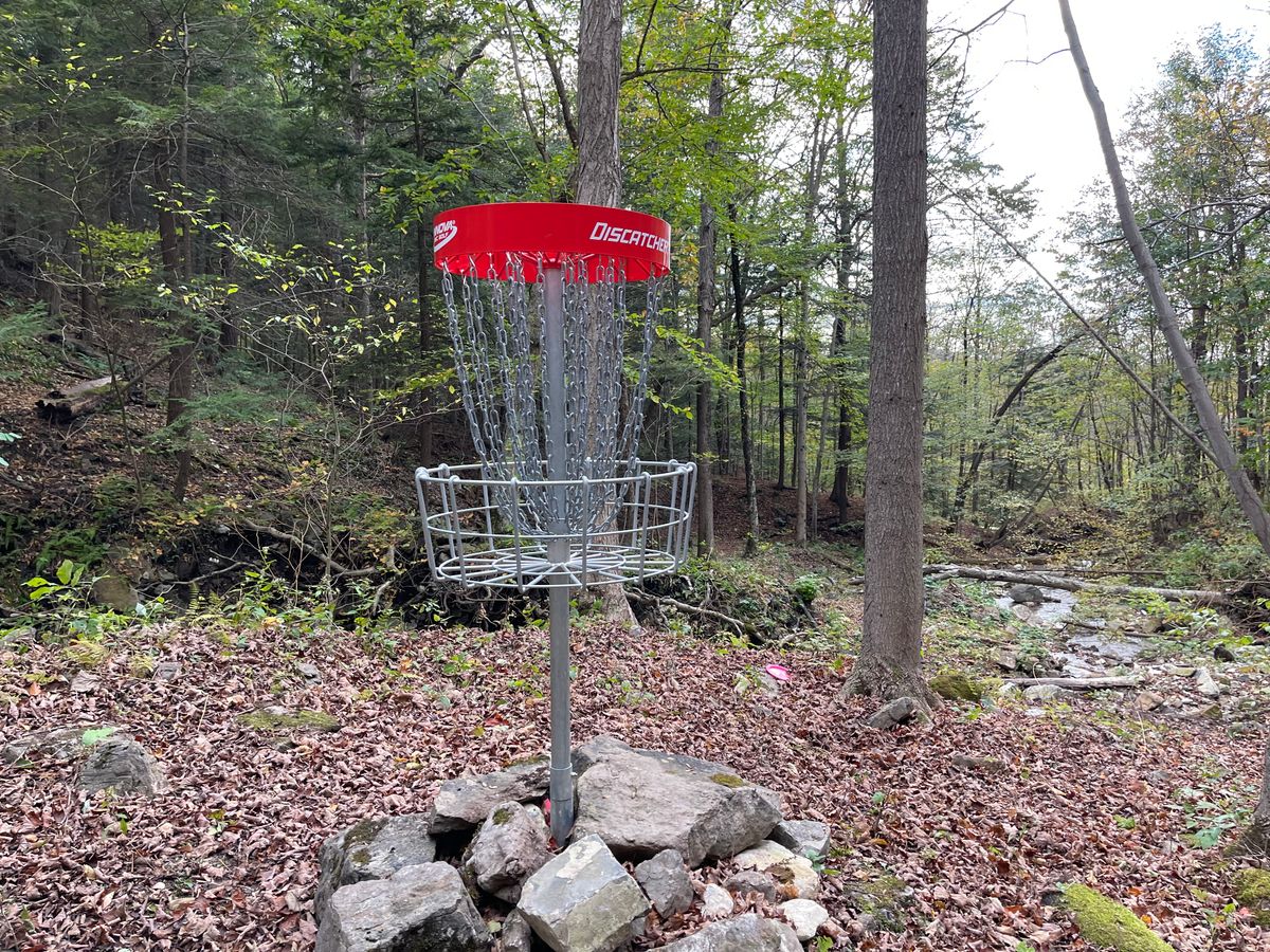 F Basket to Tee