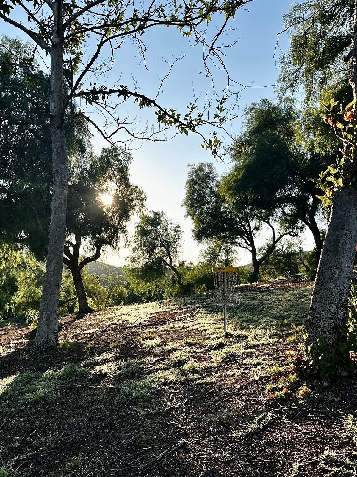 Sunset on hole 18