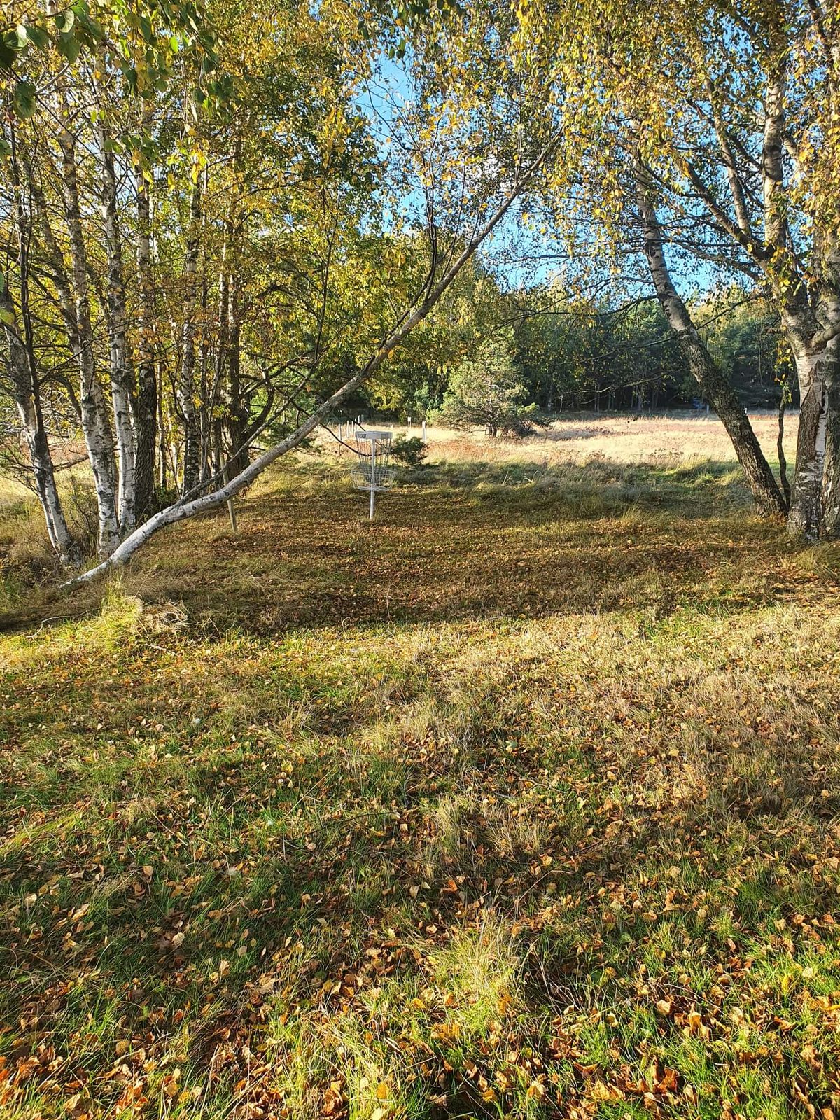 Hål 4