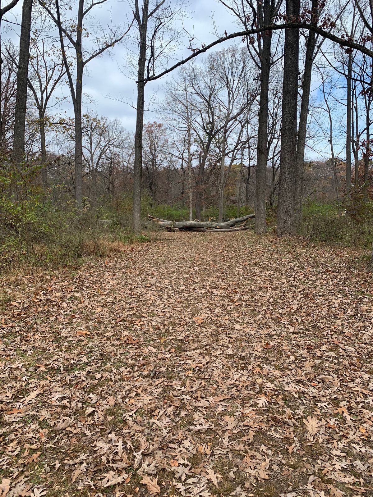 Hole 1