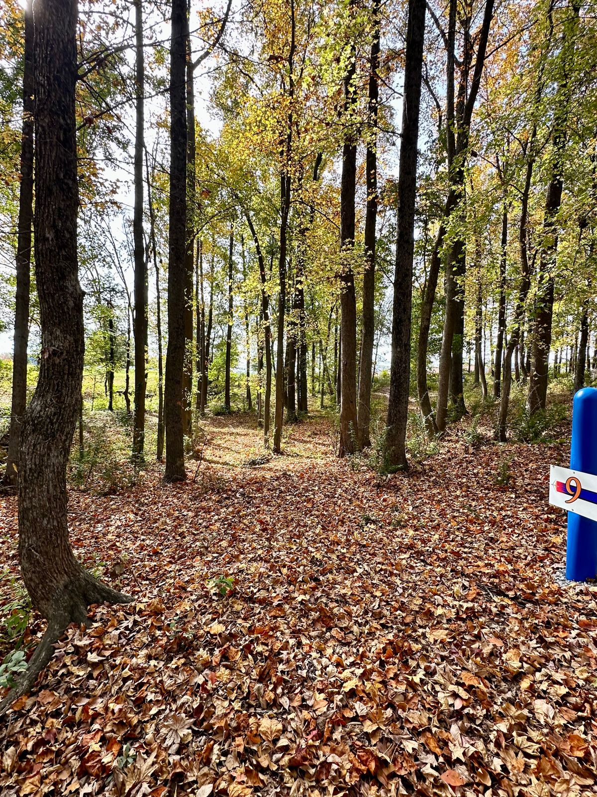 Hole 9
