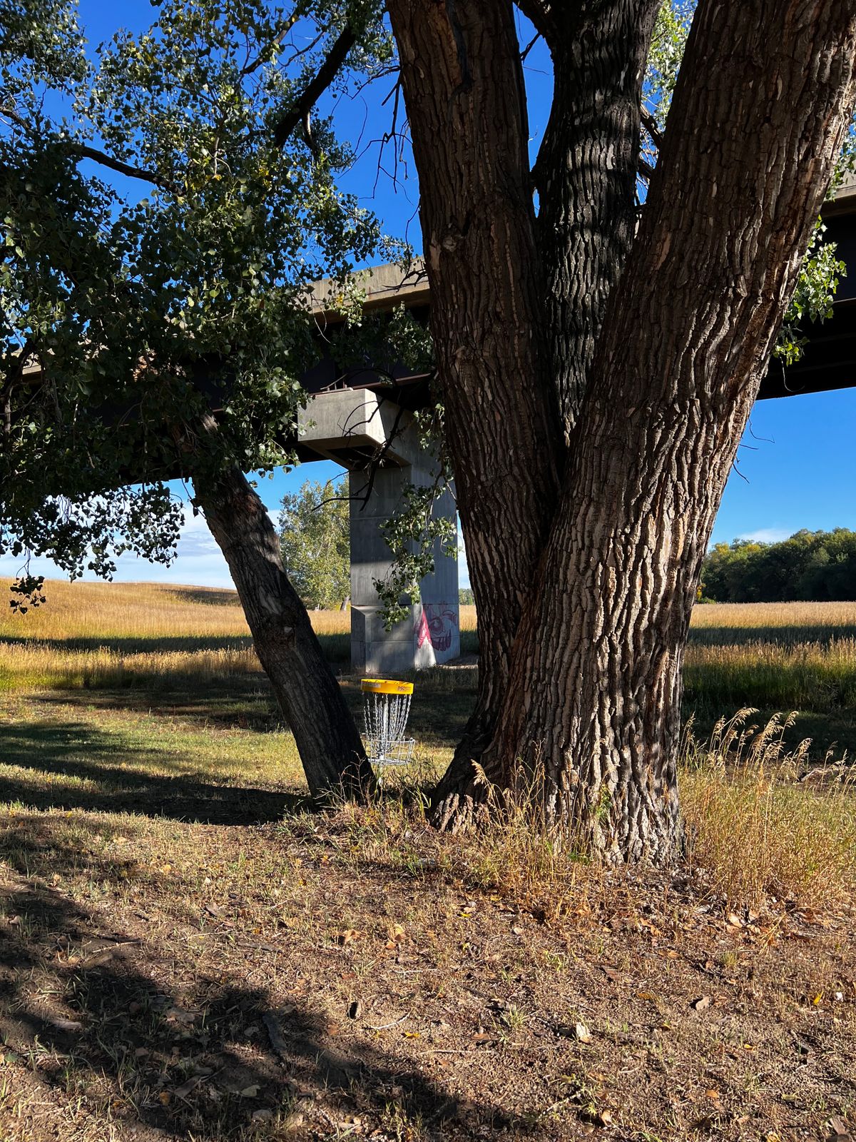 Basket Hole 2/11