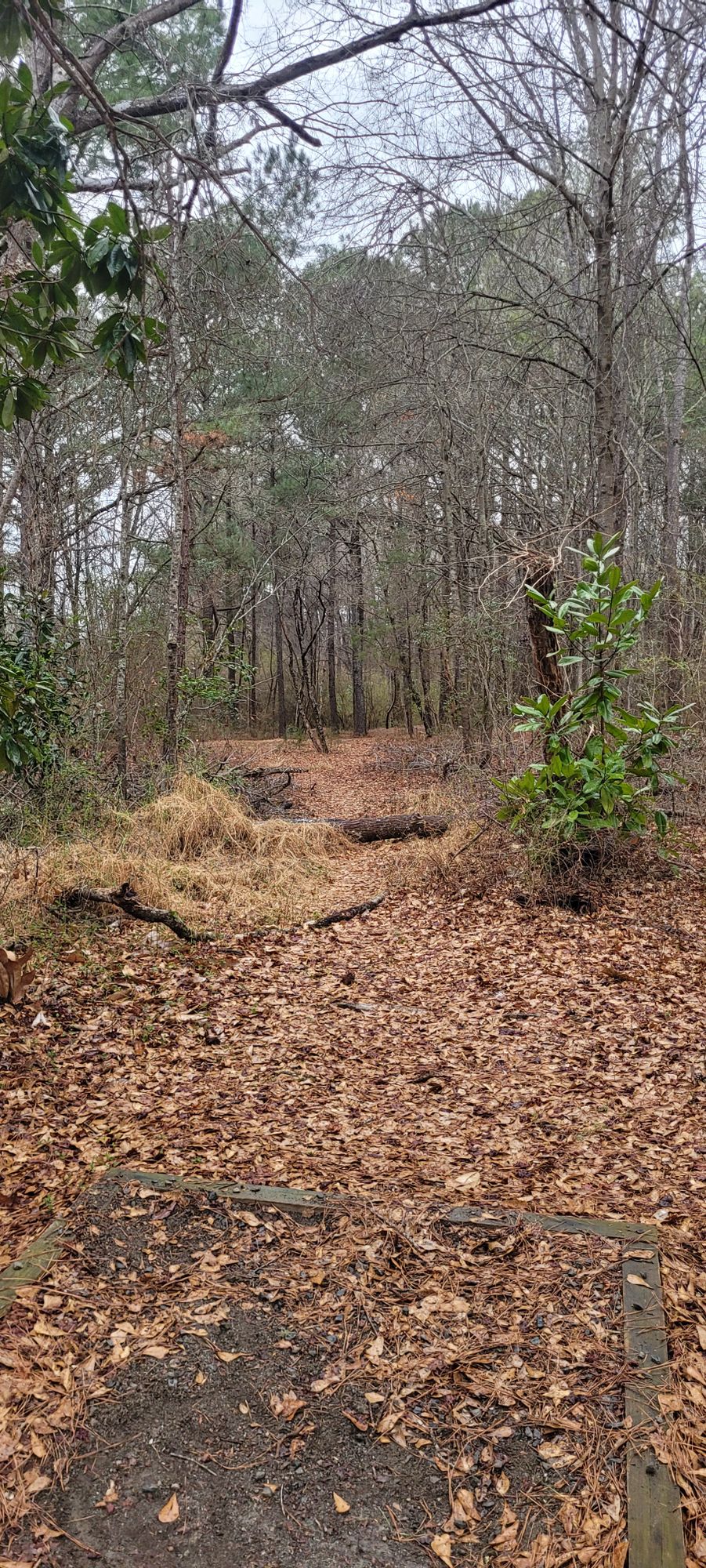 Orange Tee, Hole 17