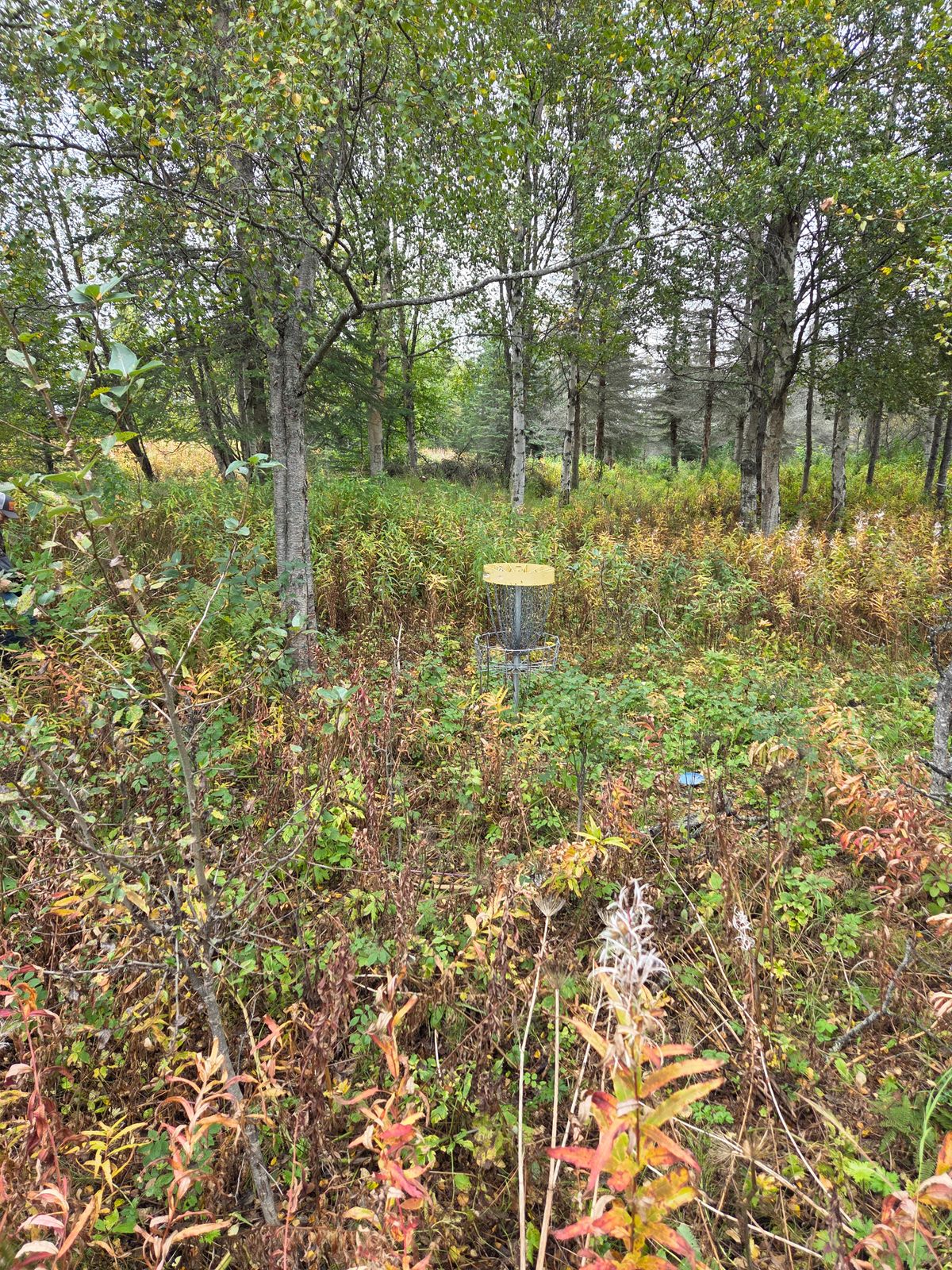 Hole 9 basket