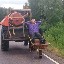 laurilepju