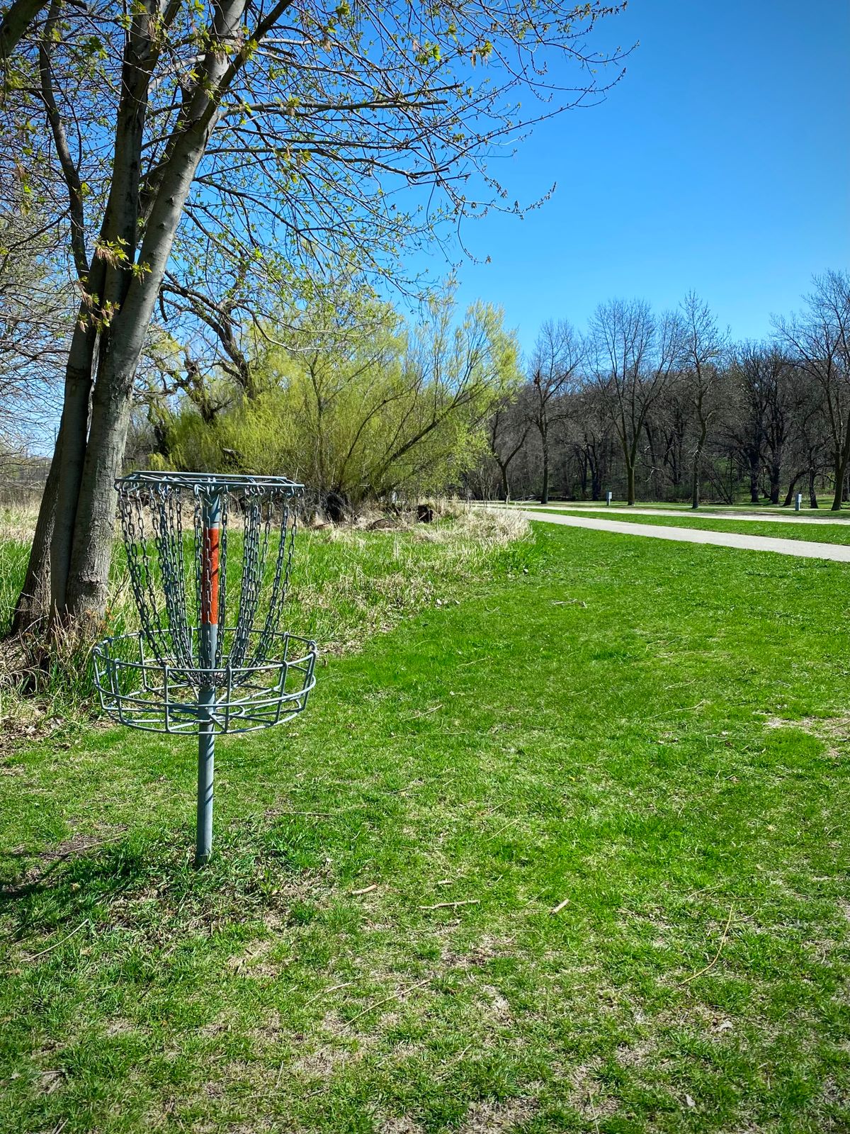 Hole 6 basket