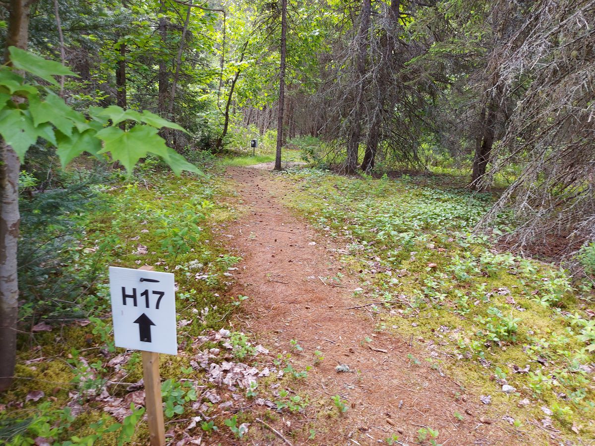 To hole 17.