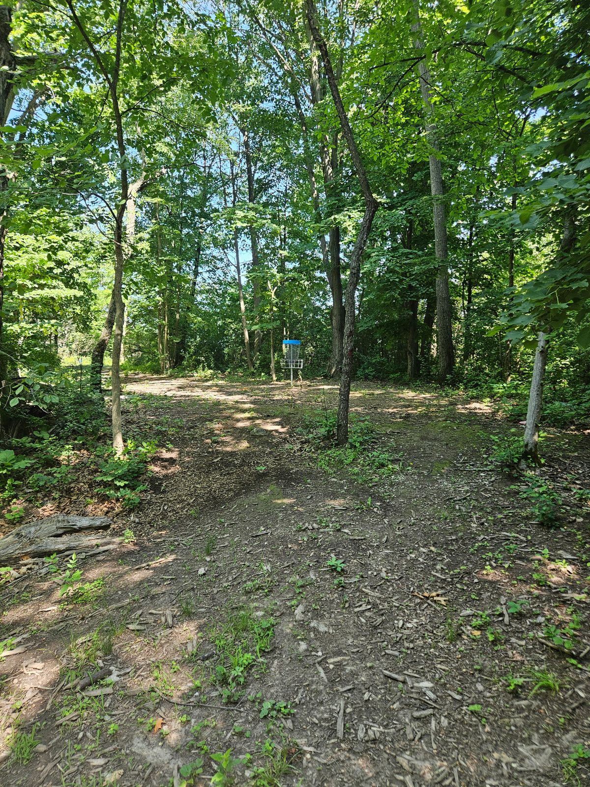 Hole 2 green