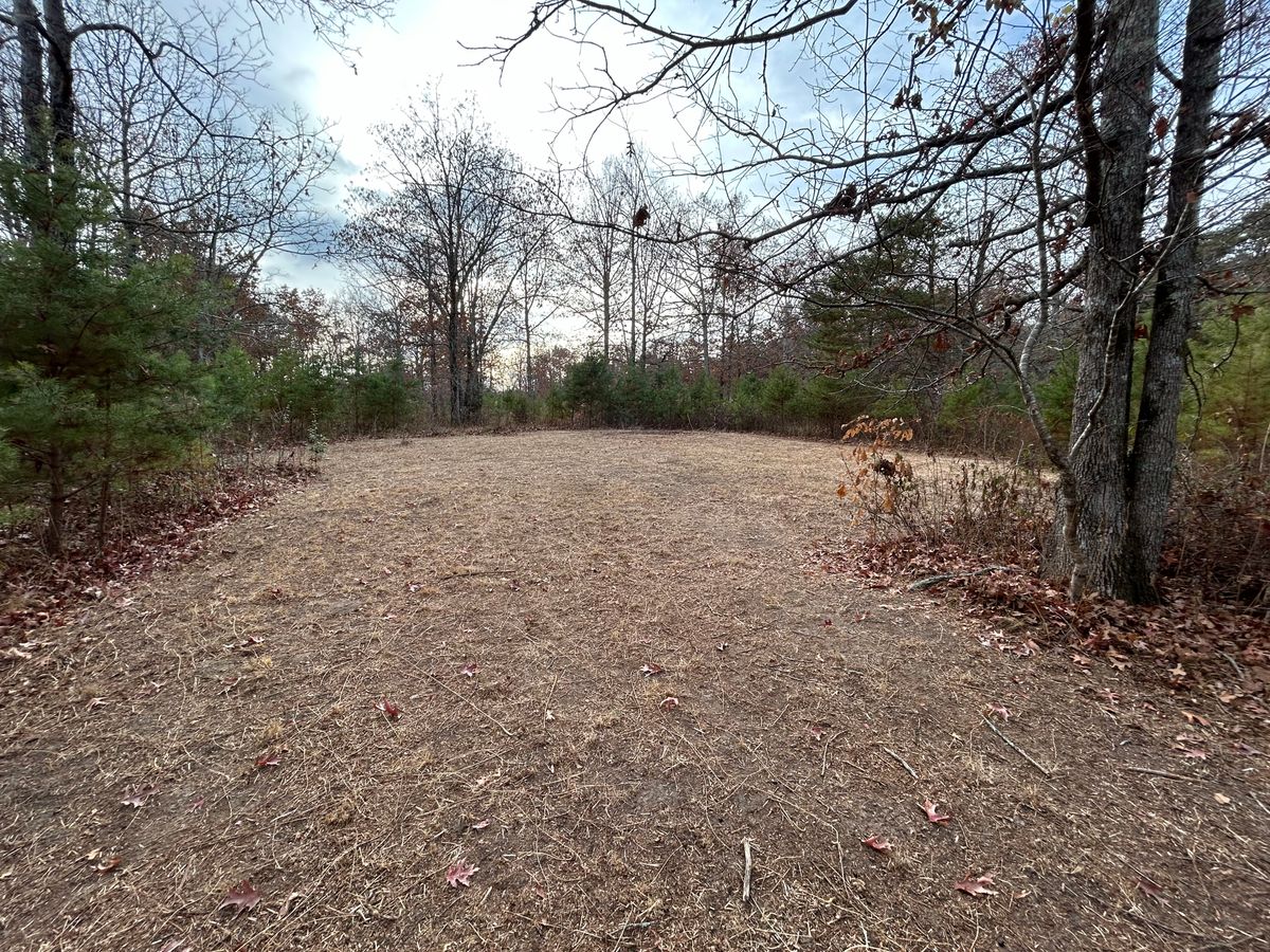 Hole 12 - basket is on the right