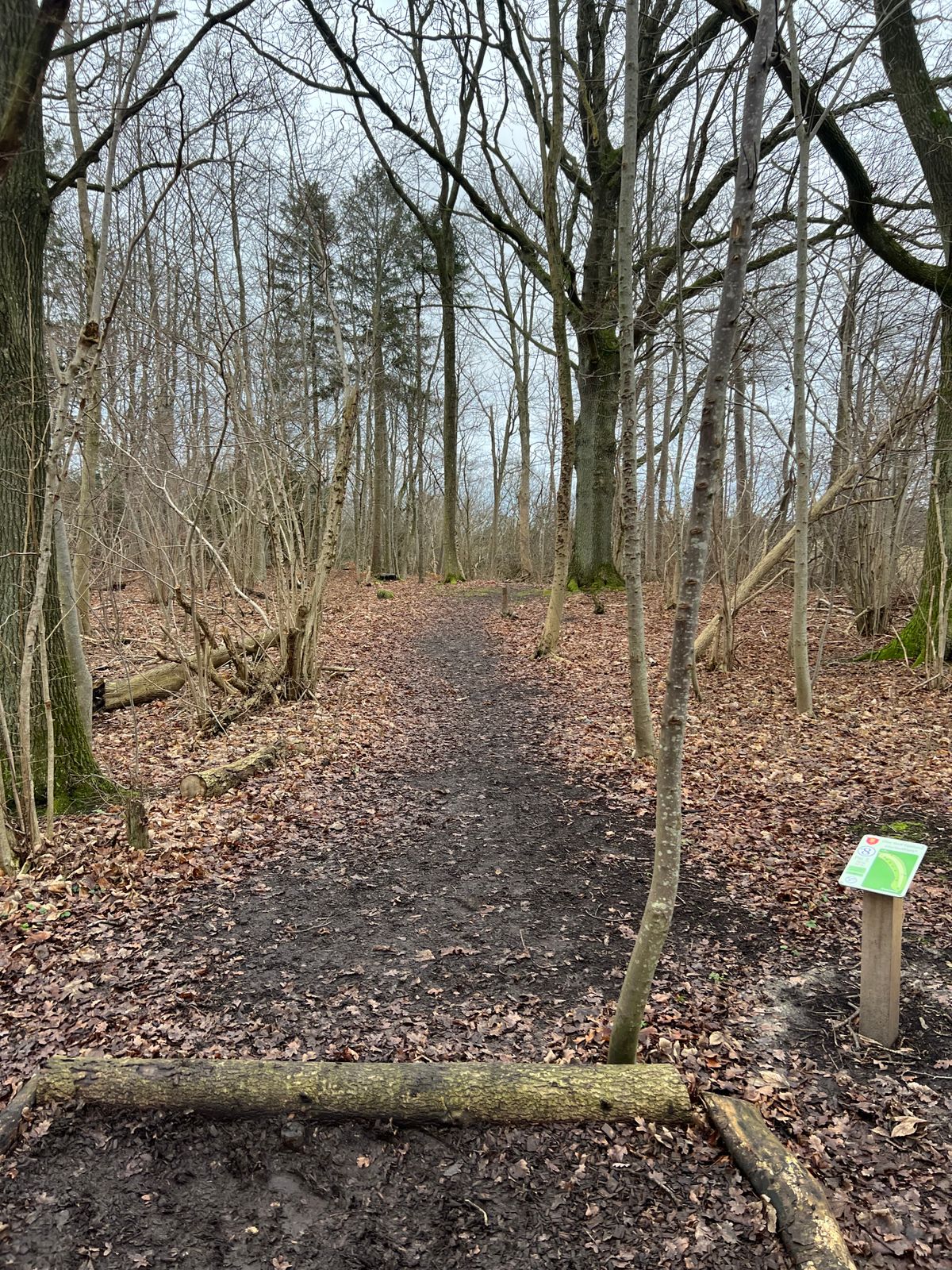 Hole 8