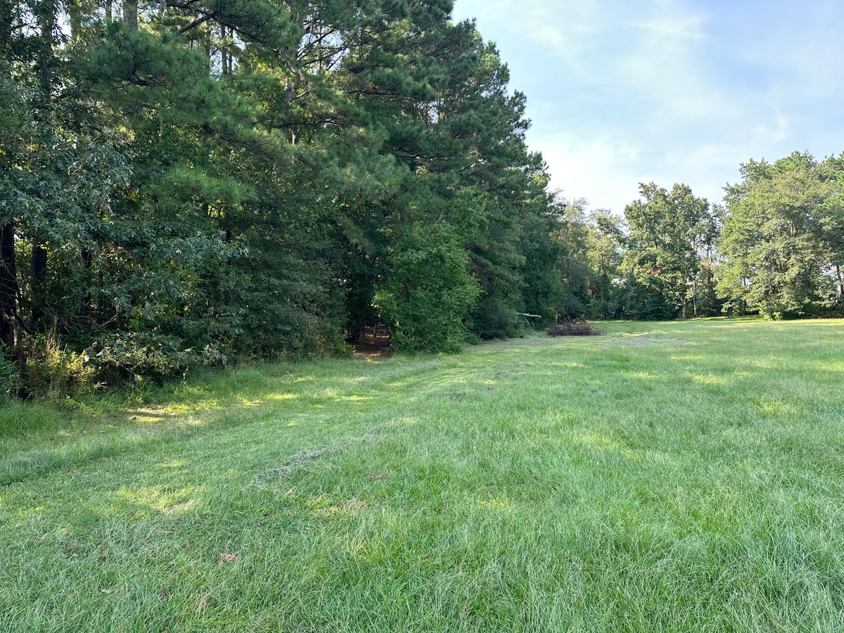 Hole 14 Fairway