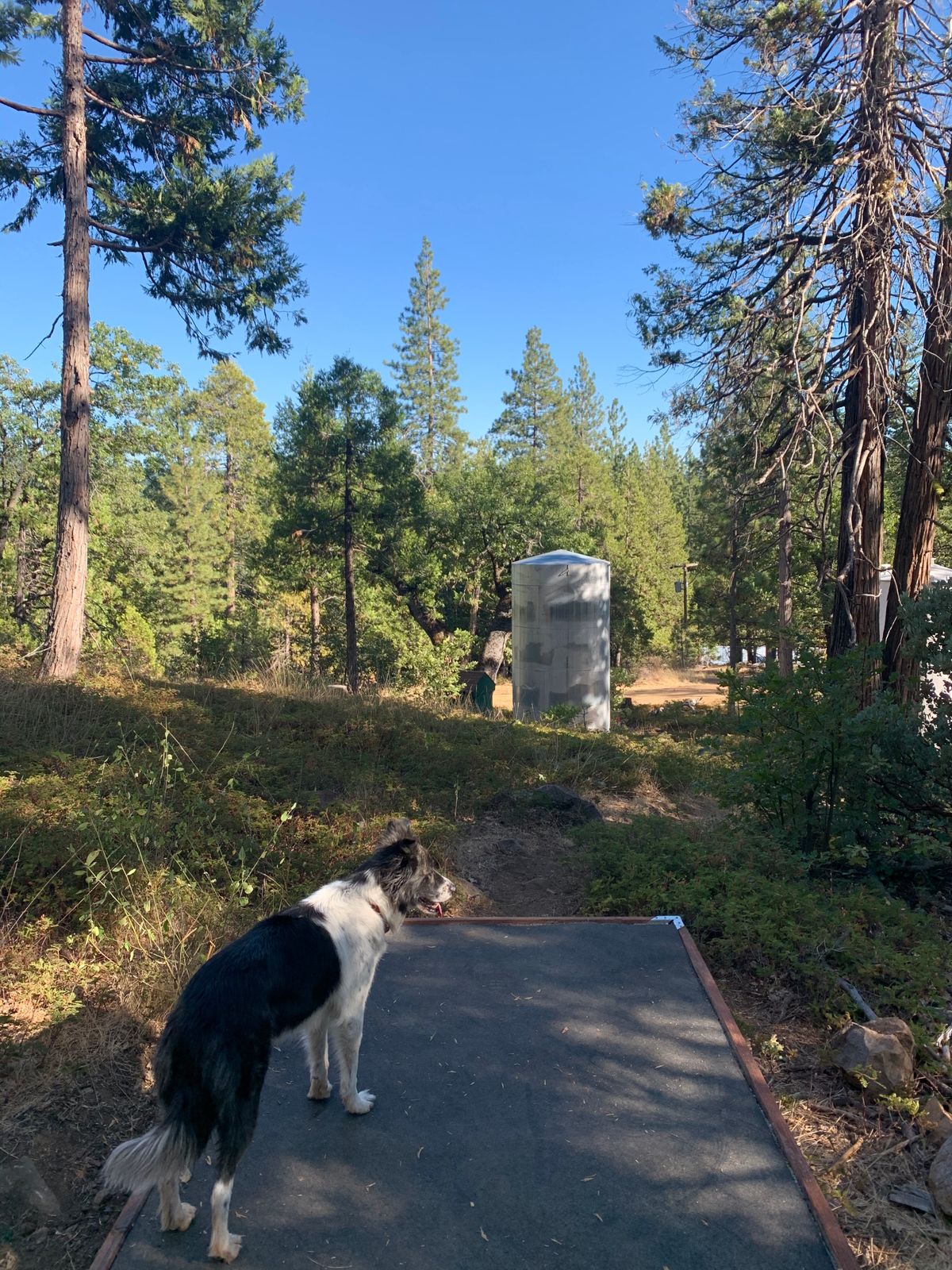 Hole 4 tee box. Hole is down past the water tank