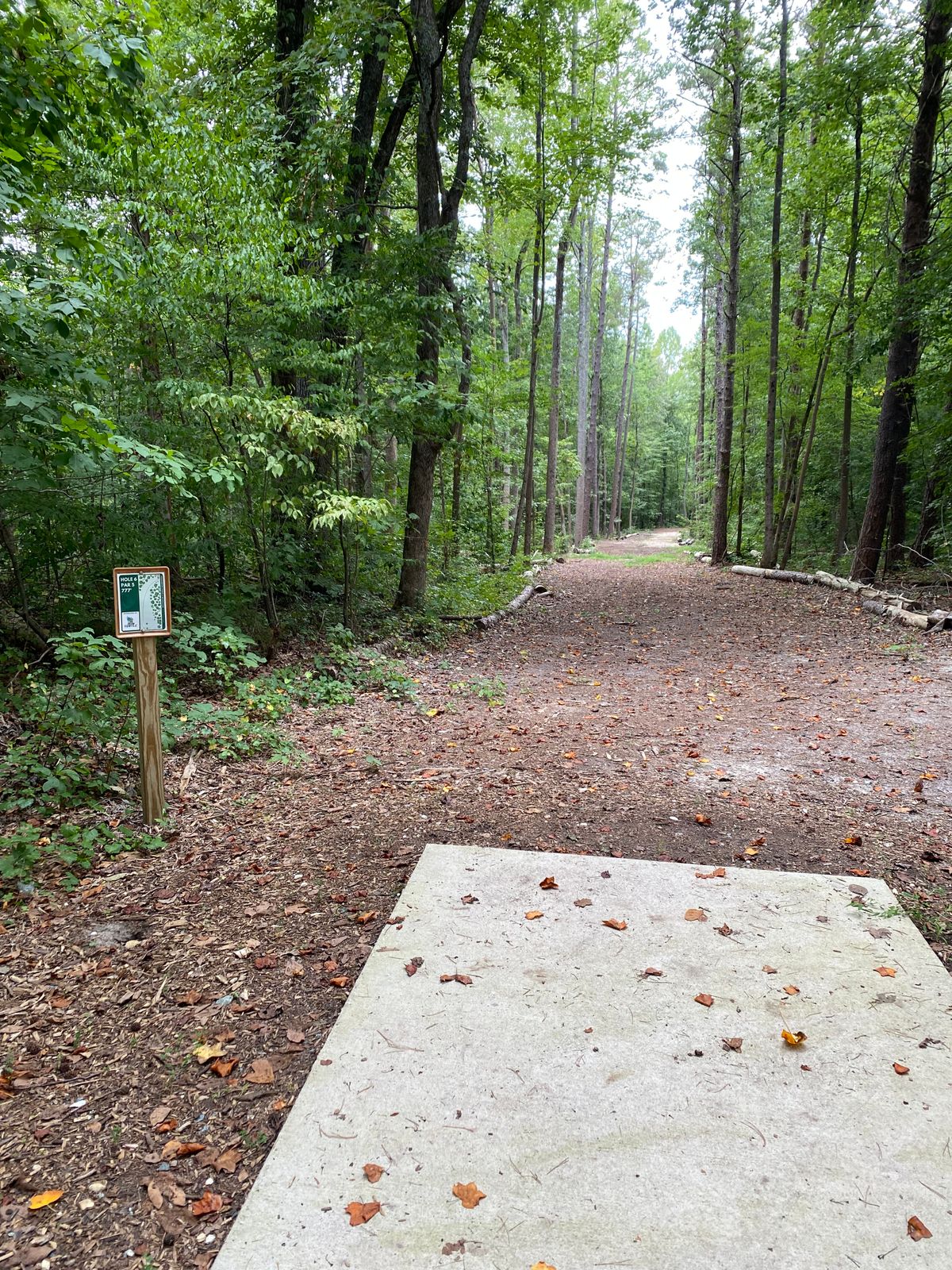 Hole 6