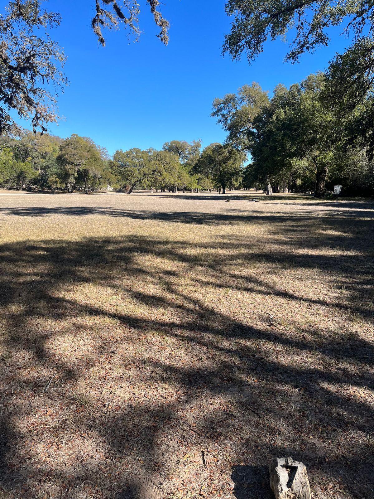 #7 tee …long par 5. Target off tee is tree with post to left of it