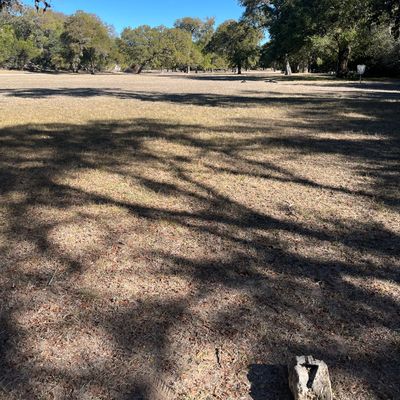 #7 tee …long par 5. Target off tee is tree with post to left of it