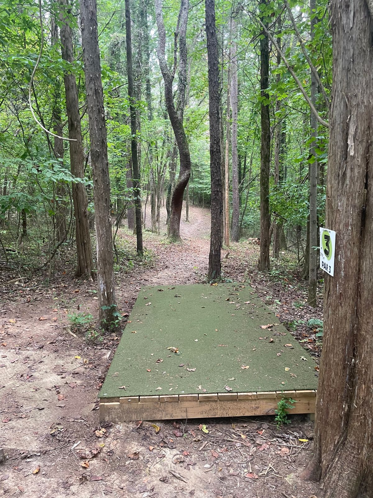 Hole 3 on Cliffside