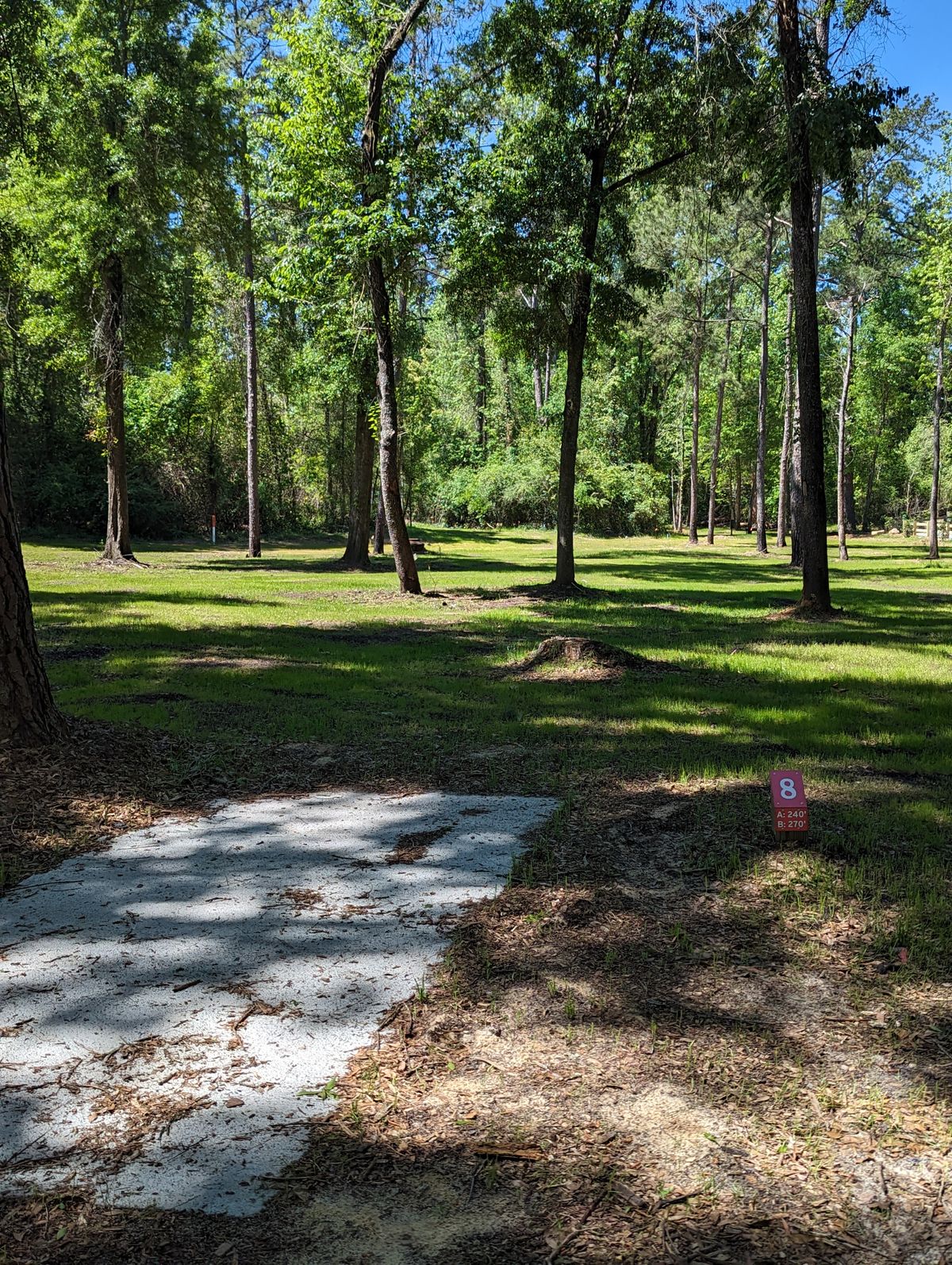 Hole 8 Red Pad
